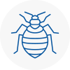 Bed Bug Extermination In Tadworth