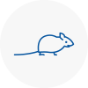 Mice Exterminators In Tadworth