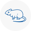 Rat Control Tadworth