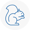 Tadworth Rodent Removals