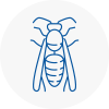 Tadworth Wasp Nest Removal
